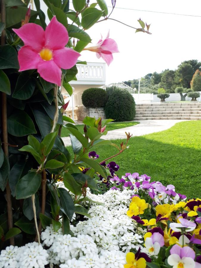 Villa Natia Mottola Εξωτερικό φωτογραφία